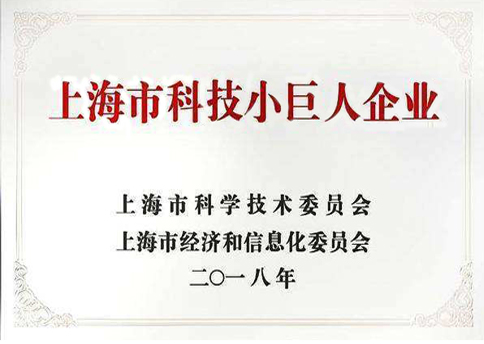 科技小巨人企業